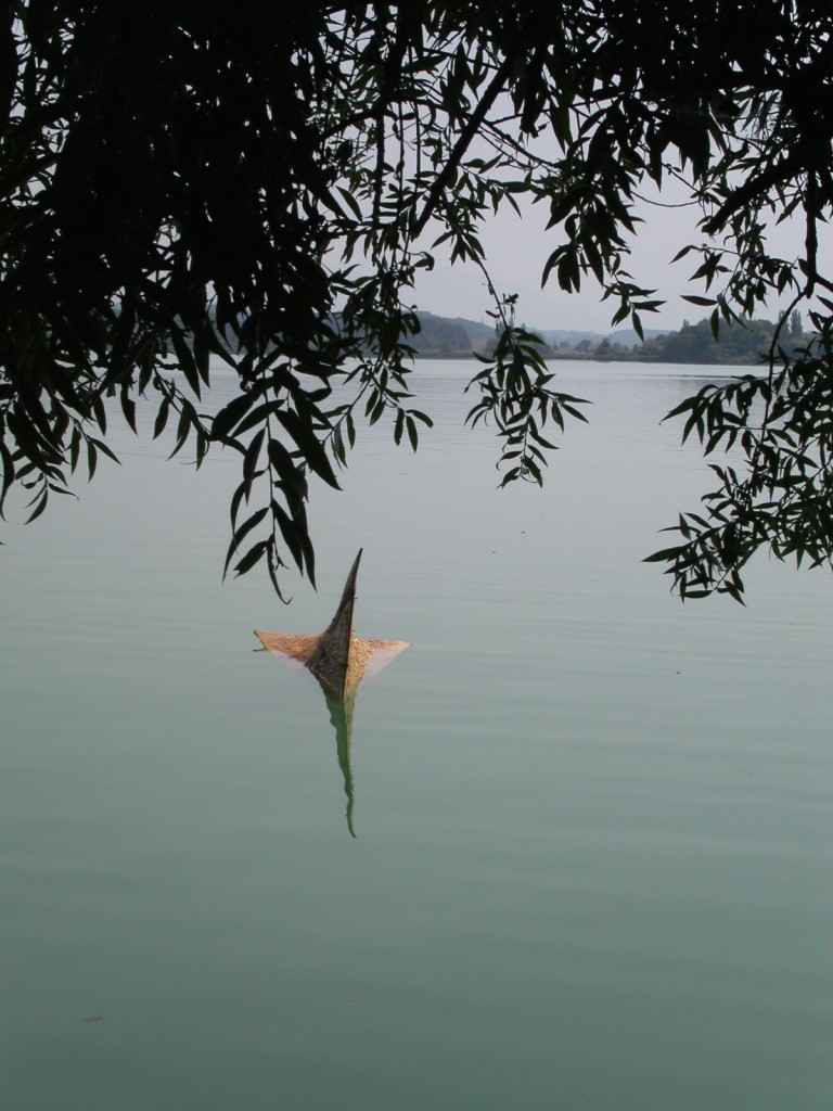 auf dem Greifensee